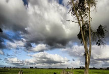 卡利亚里主场告捷，稳步前进保持希望