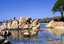 长白山雄鹰客场告捷，逐步跻身前列